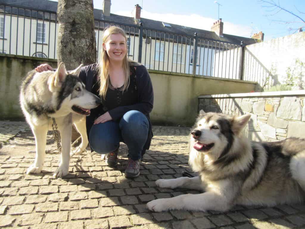 Game of Thrones Direwolves Northern Ireland About Travels with Erica