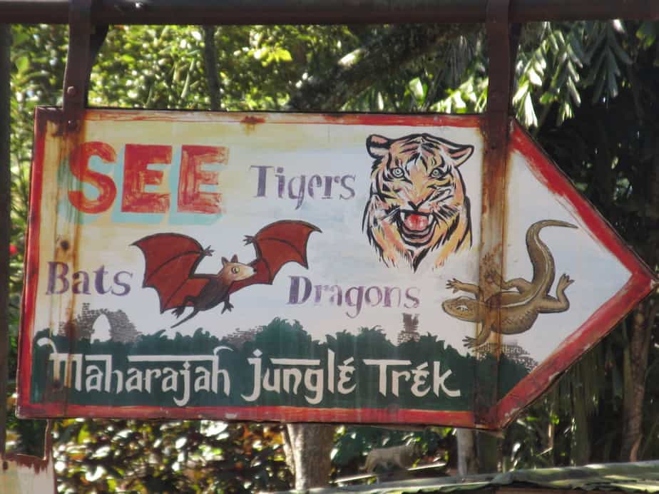 Jungle Trek Animal Kingdom